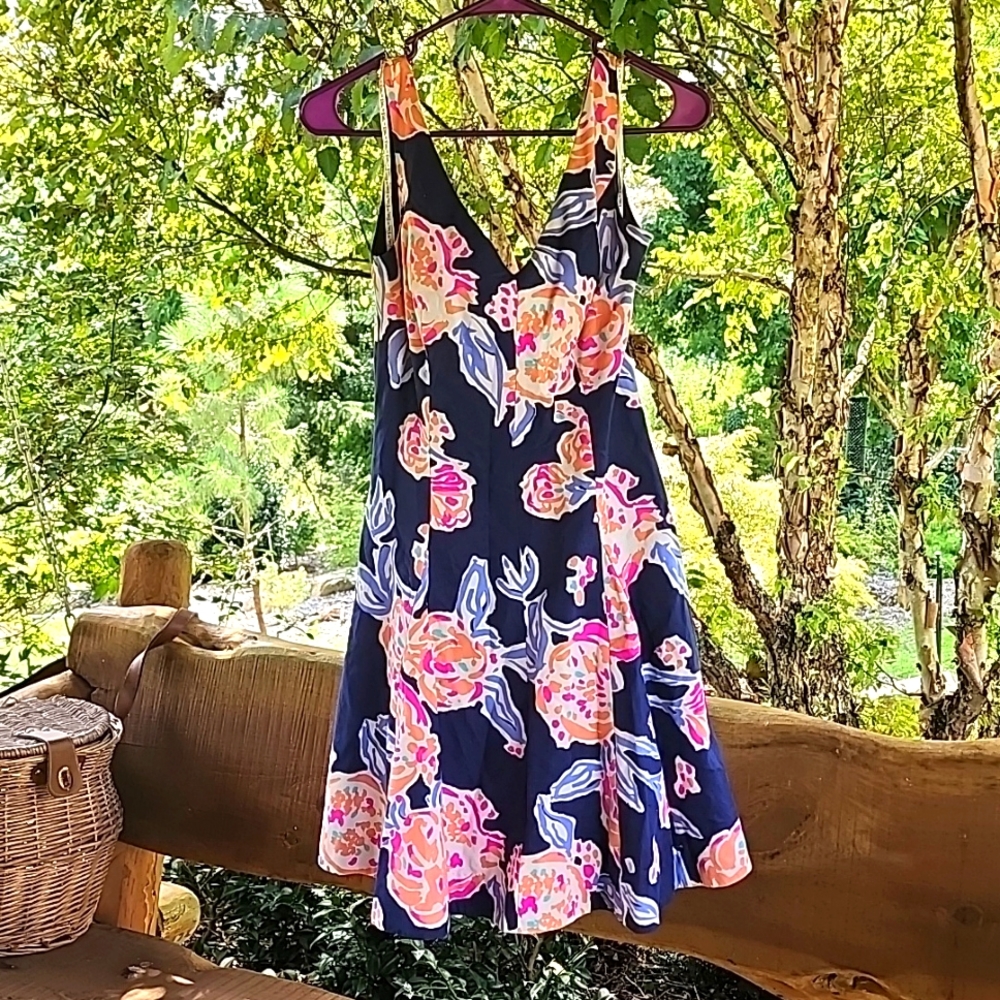 Lilly dress navy with neon pops of color